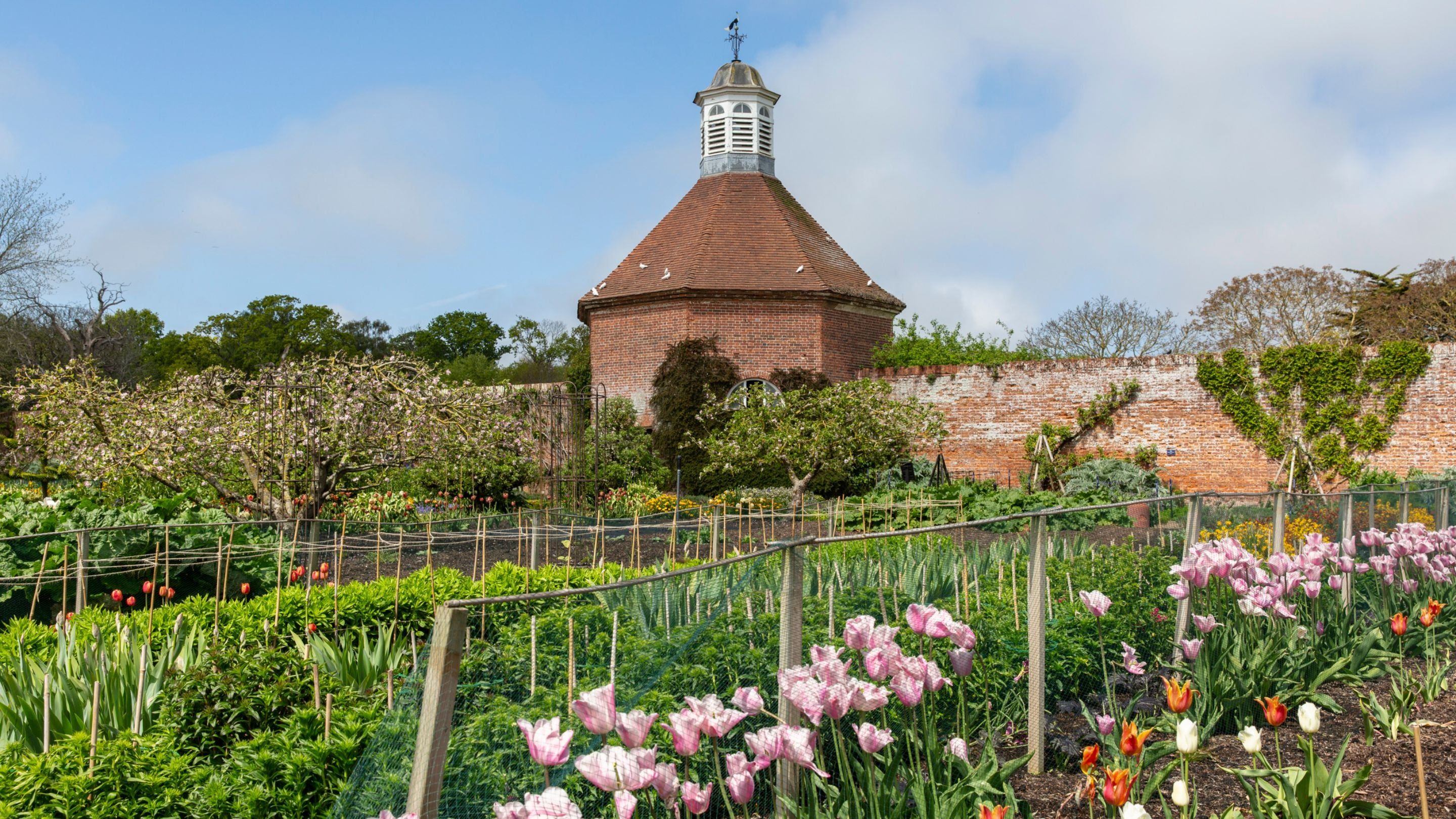 🏛️ 내셔널 트러스트 - 펠브리그 홀, 정원 및 사유지 (내셔널 트러스트 - 펠브리그 홀, 가든스 앤 이스테이트)
